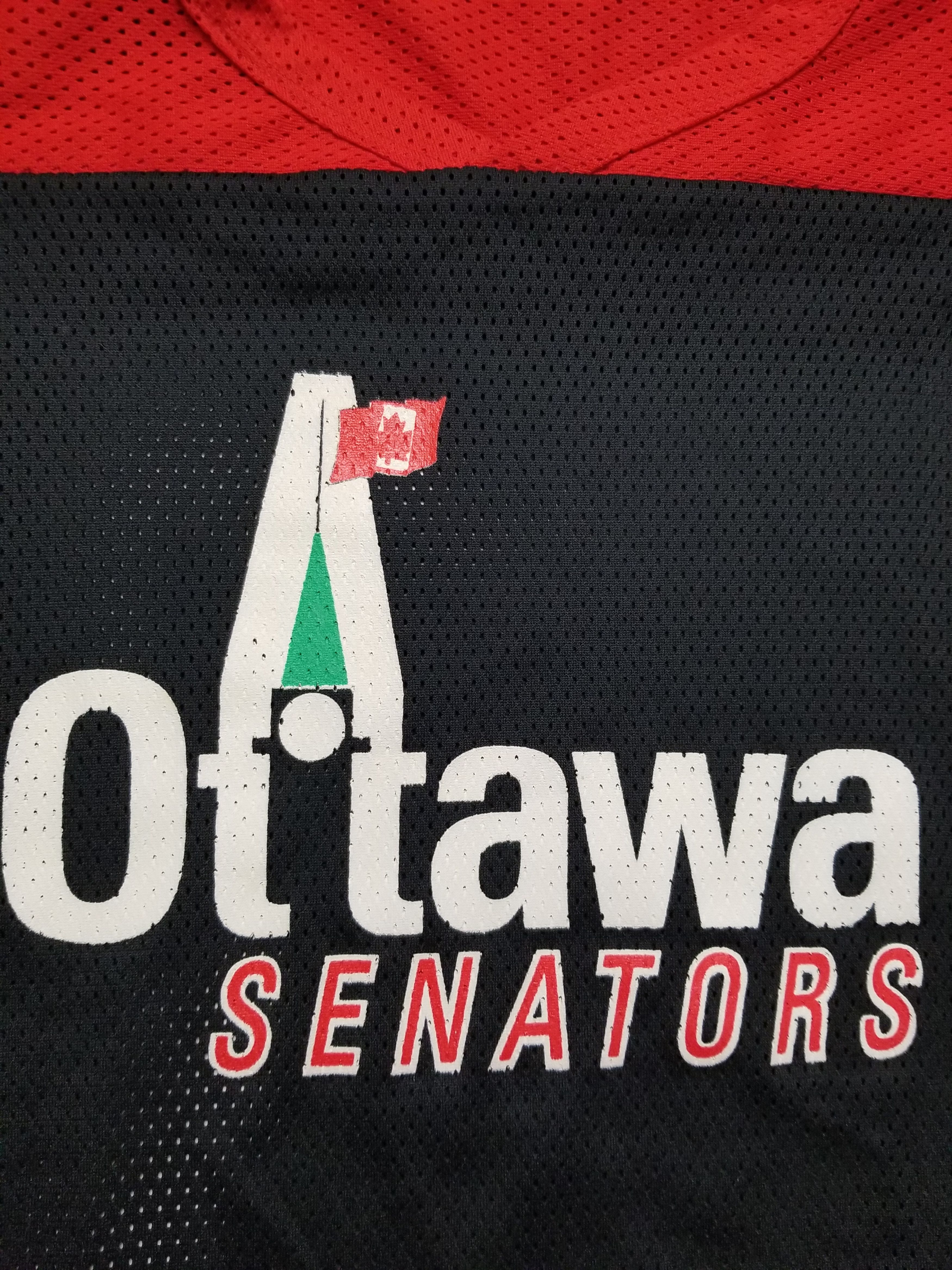 Other Ottawa Senators Peace Tower Athletics International Jersey Size US L / EU 52-54 / 3 - 8 Thumbnail