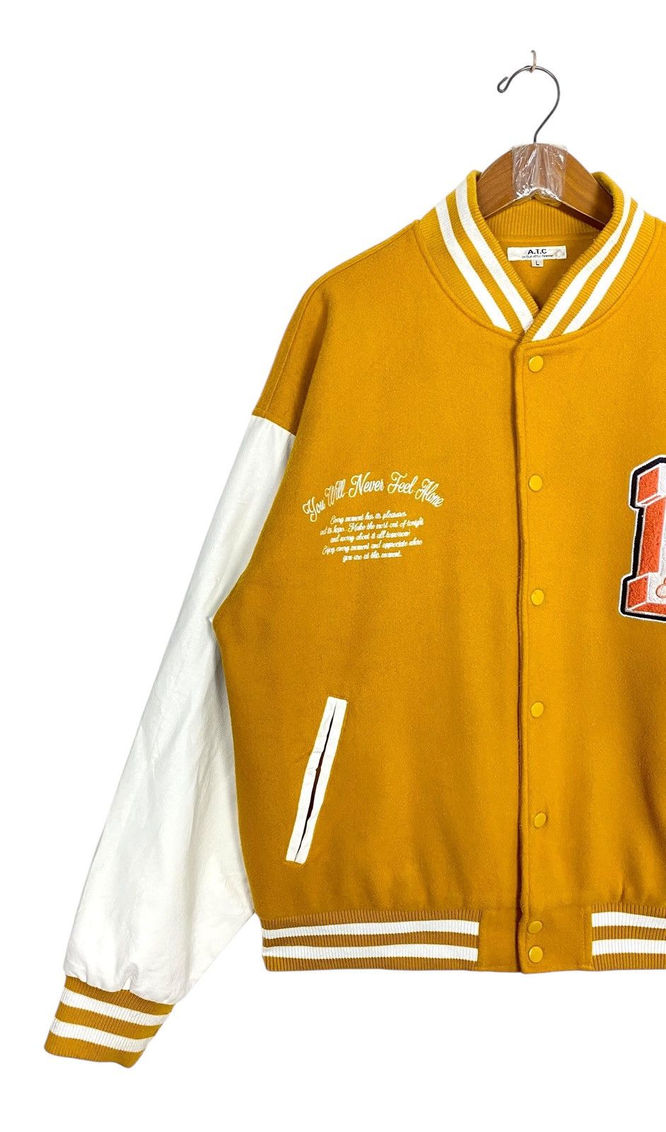 Rare‼️ In The Attic Varsity Big Logo
