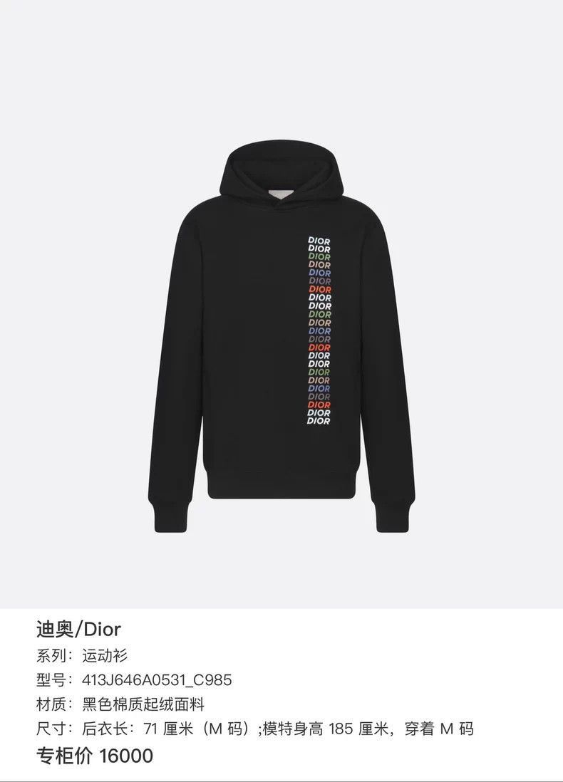 Dior Dior Long Sleeve Logo Hooded Sweatshirt-2505 Size US XXL / EU 58 / 5 - 6 Thumbnail