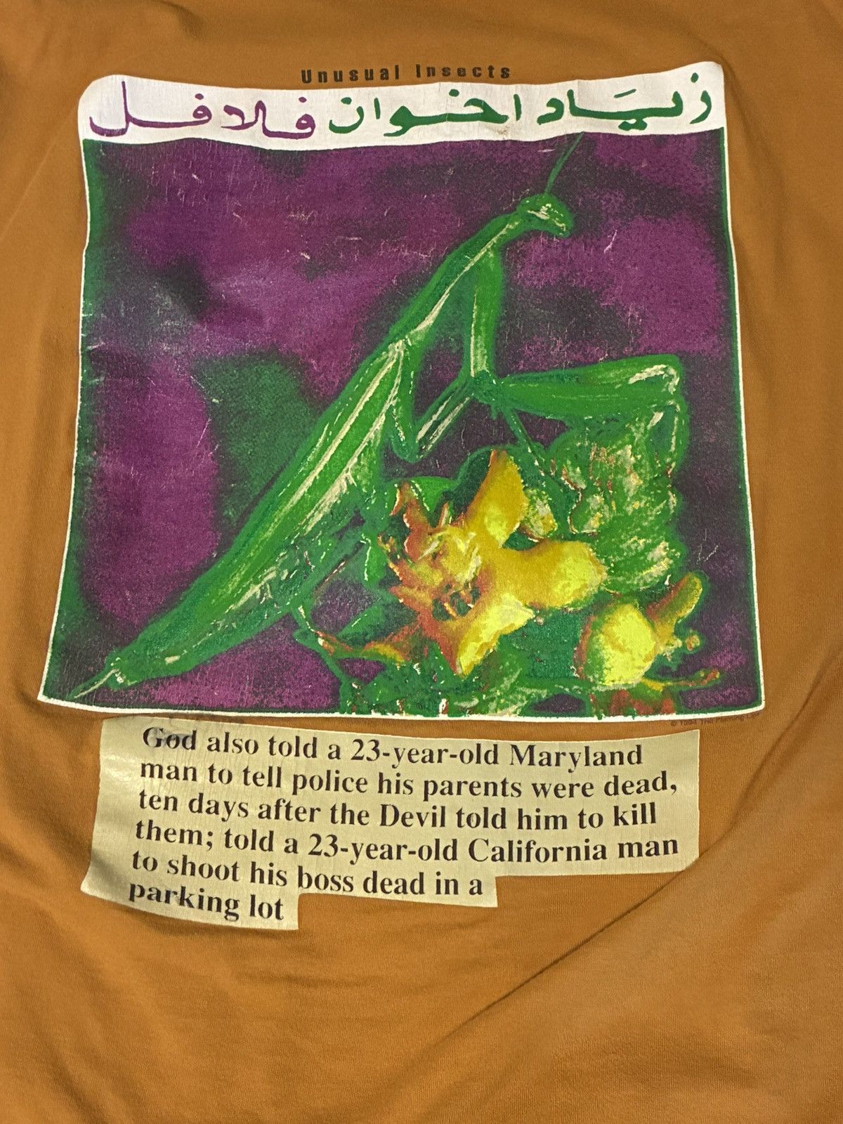 Vintage Vintage Flaming Lips T-shirt Size US XL / EU 56 / 4 - 5 Thumbnail