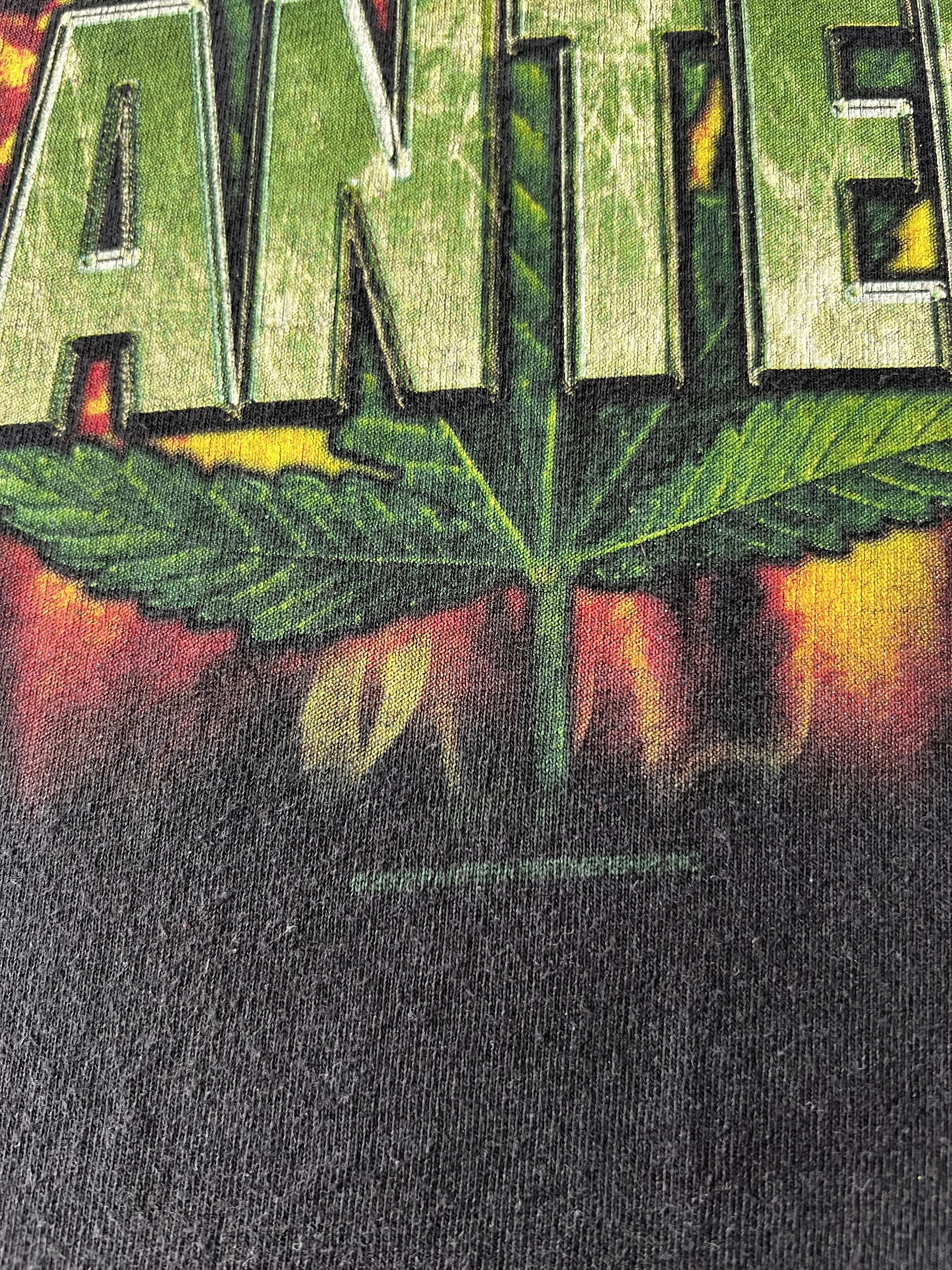 Band Tees Vintage 2002 Pantera Marijuana Skull & Weed Black Sleeveless Size US L / EU 52-54 / 3 - 7 Thumbnail