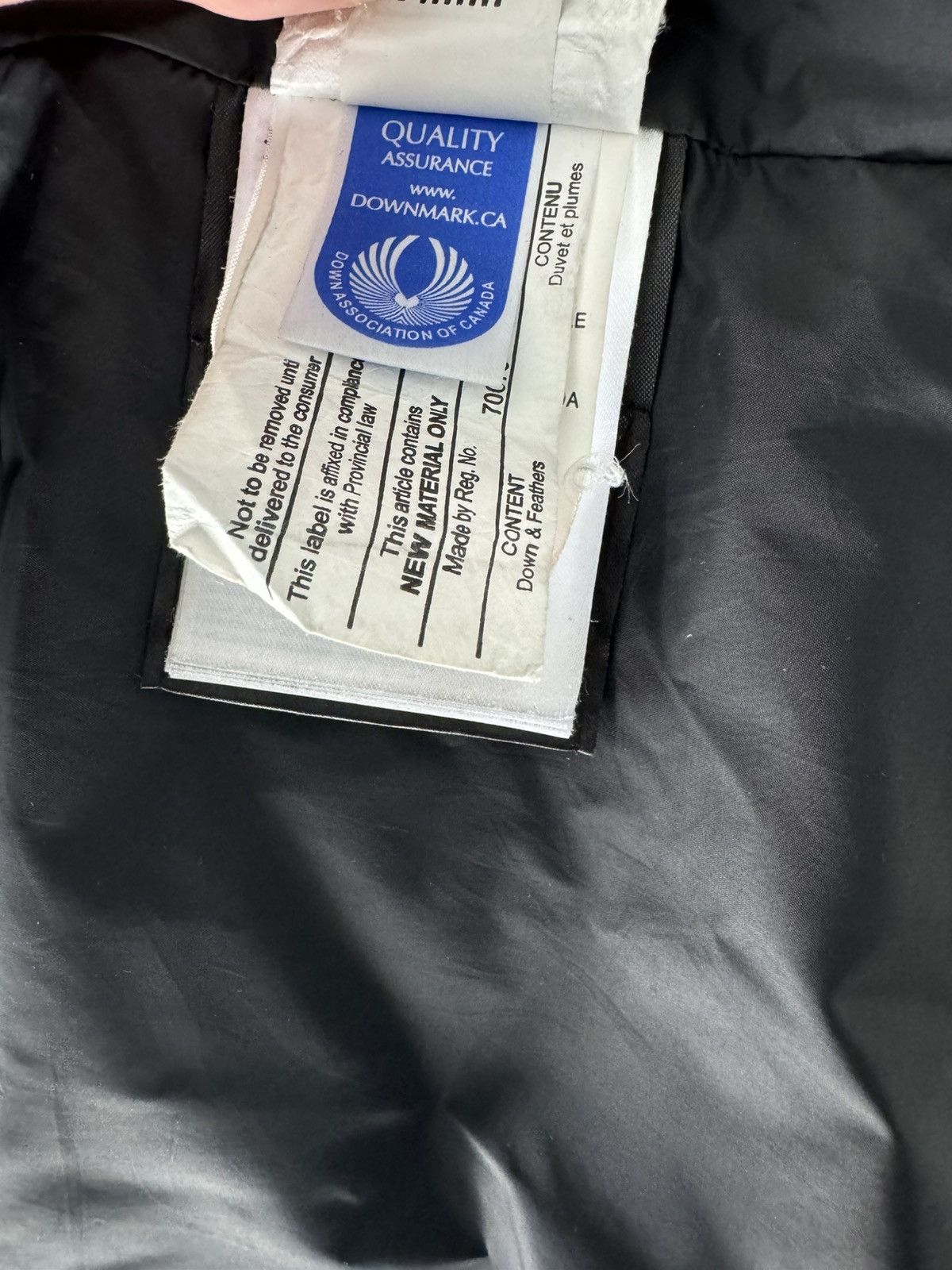 Canada Goose Canada Goose Carson Parka Size US M / EU 48-50 / 2 - 8 Thumbnail