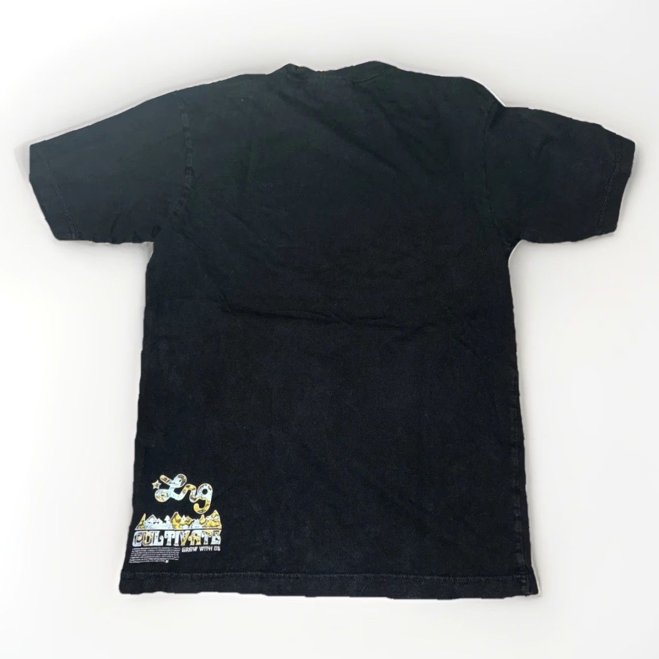 Vintage VINTAGE LRG T-Shirt Black M Streetwear Y2K Band Tee Men Size US M / EU 48-50 / 2 - 6 Thumbnail