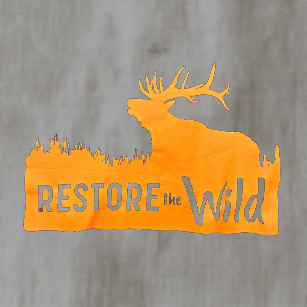 Vintage VINTAGE Restore the Wild Moose Gray T-Shirt Adult Medium 90s Nature Animals Mens Size US M / EU 48-50 / 2 - 1 Thumbnail