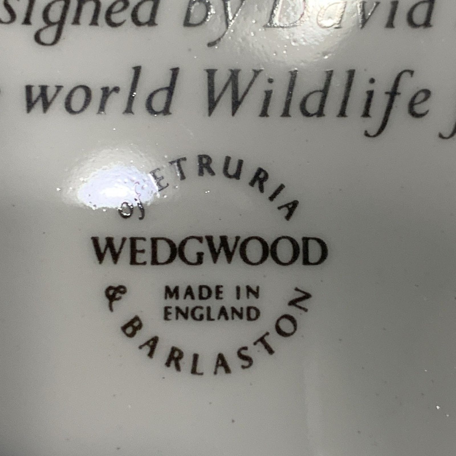 Vintage 5 rare Wedgewood wildlife WWF dinner plates David Shepherd Size ONE SIZE - 7 Thumbnail