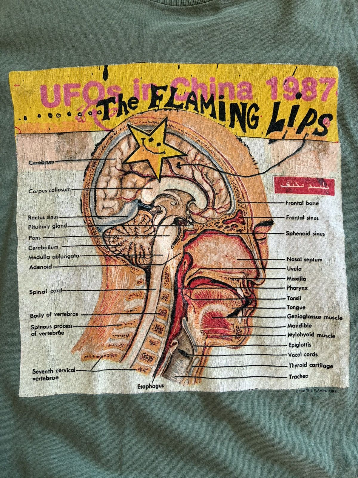 Vintage Vintage Flaming Lips “UFOs In China” Shirt Size US XL / EU 56 / 4 - 5 Thumbnail
