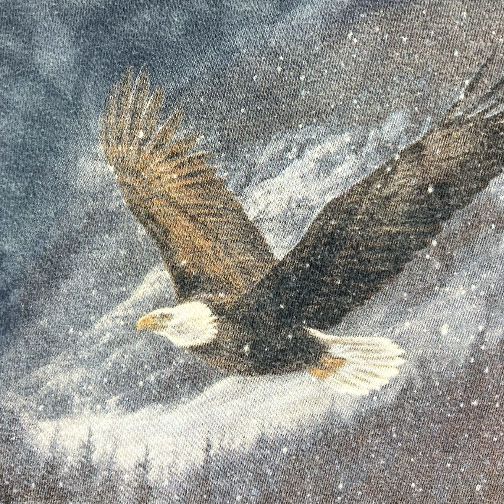 The Mountain Nature Shirt The Mountain Mens Large Bald Eagle Winter Scene Blue 90s Vintage Graphic Print Tshirt Crew Neck Short Sleeve Cotton Size US L / EU 52-54 / 3 - 6 Thumbnail