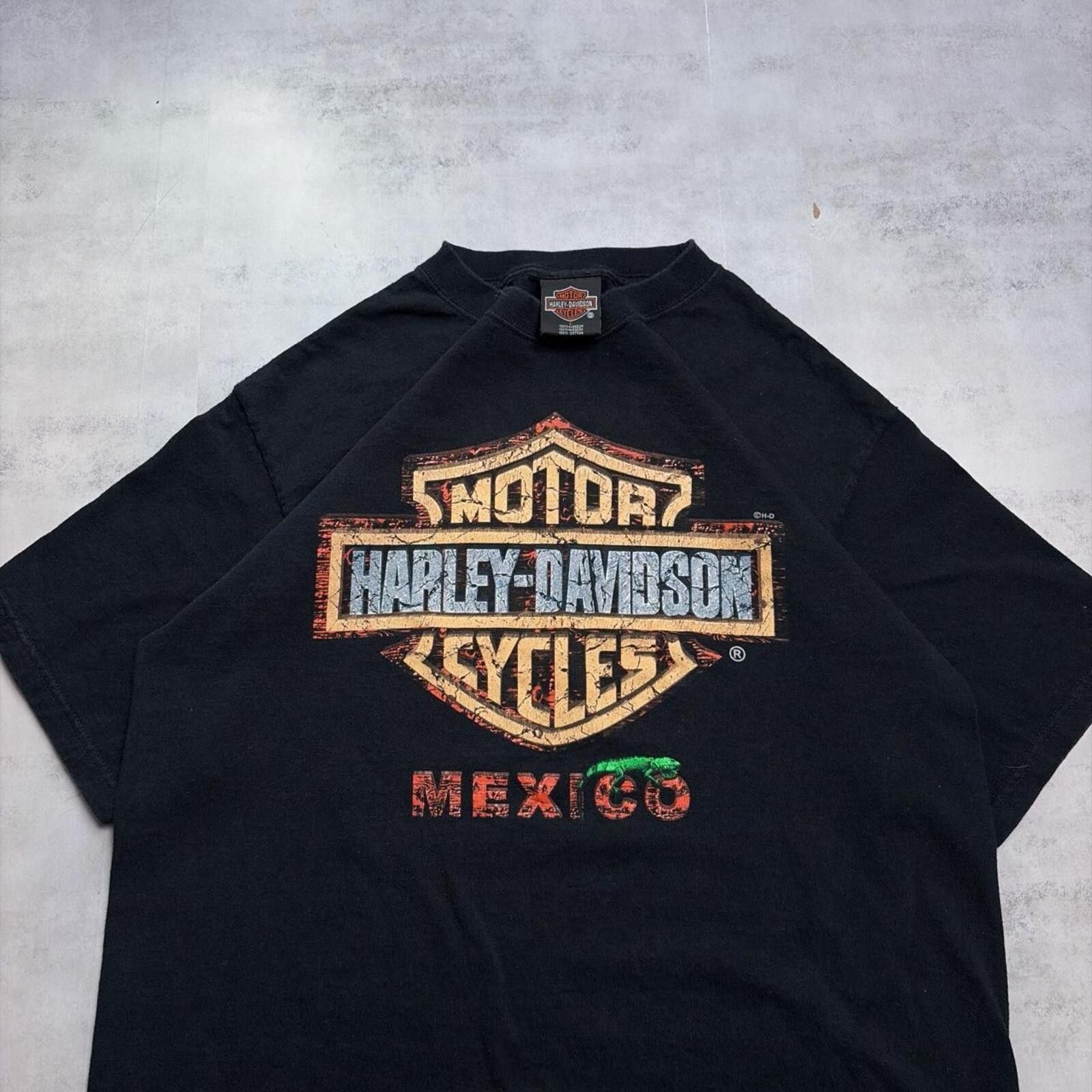 Harley Davidson Y2K Harley Davidson Grunge Cabo San Lucas Biker T-Shirt Size US L / EU 52-54 / 3 - 3 Thumbnail