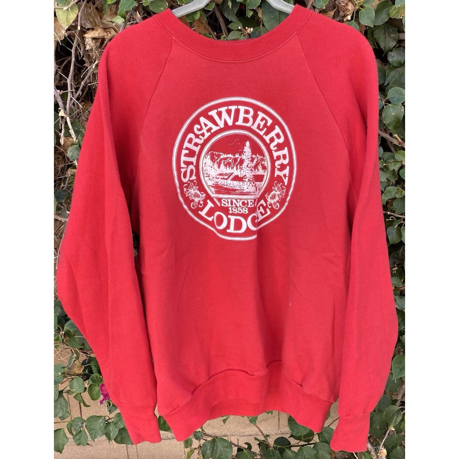 Fruit Of The Loom VINTAGE Fruit of the Loom Raglan Sweatshirt Graphic Print Red Strawberry Lodge Since 1858 L Men Shirt pullover Size US L / EU 52-54 / 3 - 6 Thumbnail