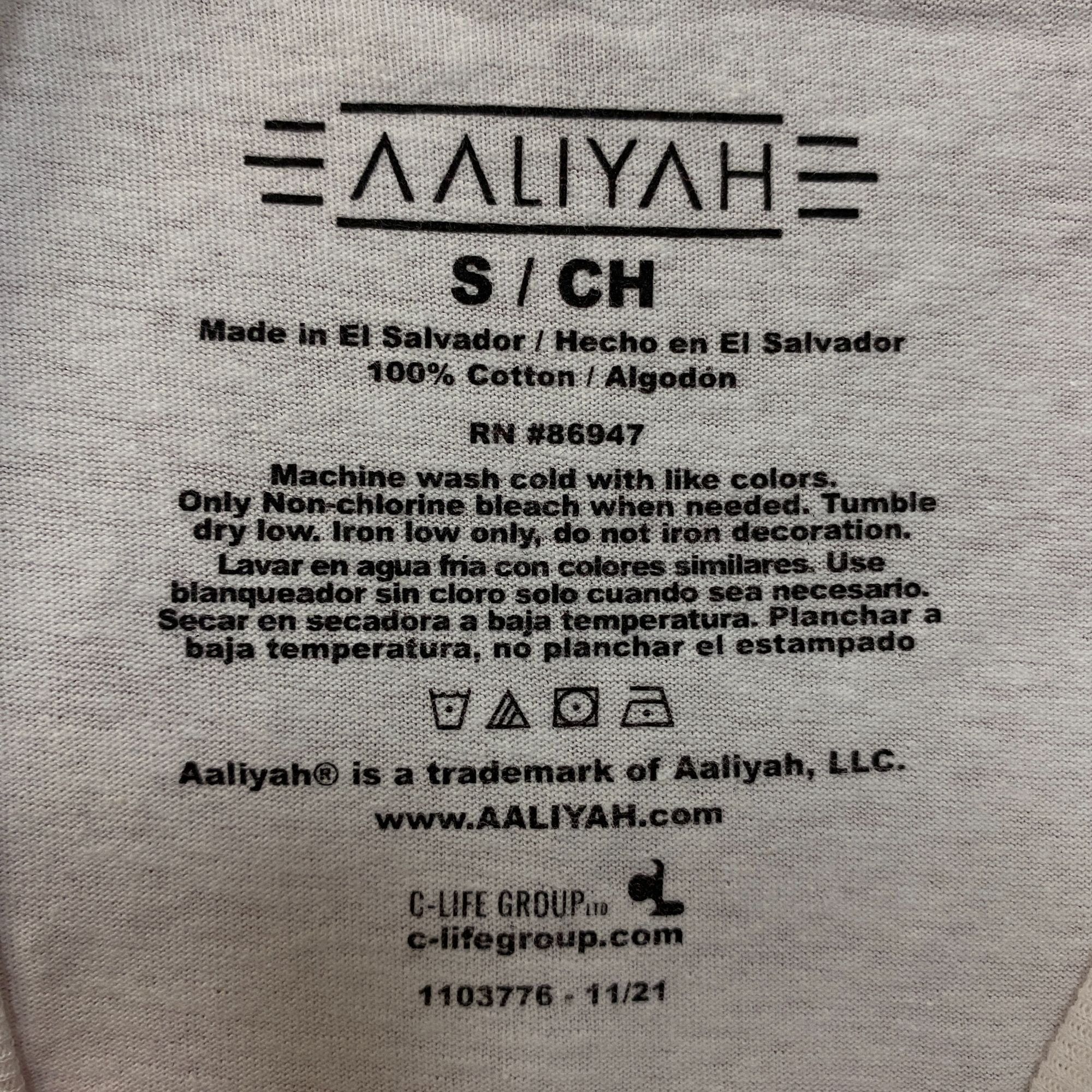Rap Tees Aaliyah Princess Of RnB Airbrush T-Shirt Small Size US S / EU 44-46 / 1 - 4 Thumbnail