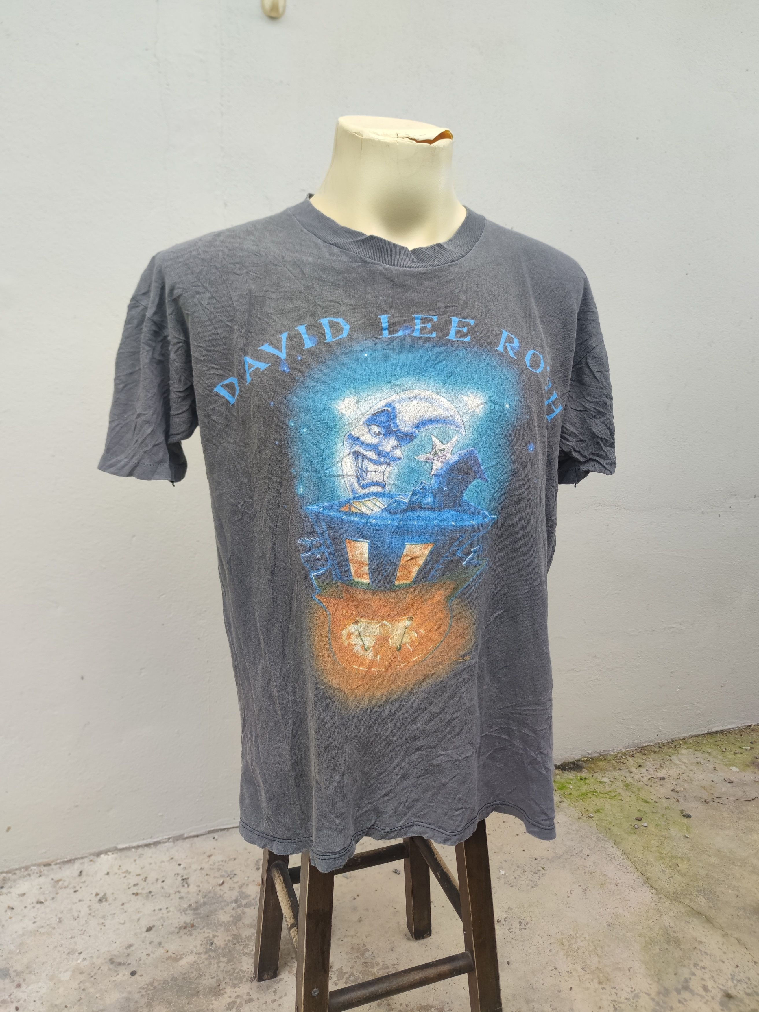 Band Tees Vintage 1994 David Lee Roth The Entire World Tour Tee Size US L / EU 52-54 / 3 - 2 Thumbnail