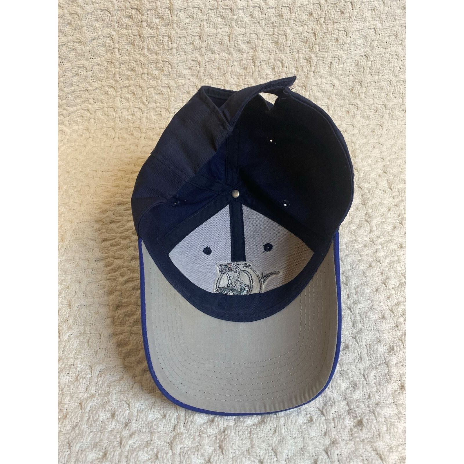 (di)vision Ogden Raptors Hat StrapBack Blue OC Minor Baseball MILB Utah Size ONE SIZE - 5 Thumbnail