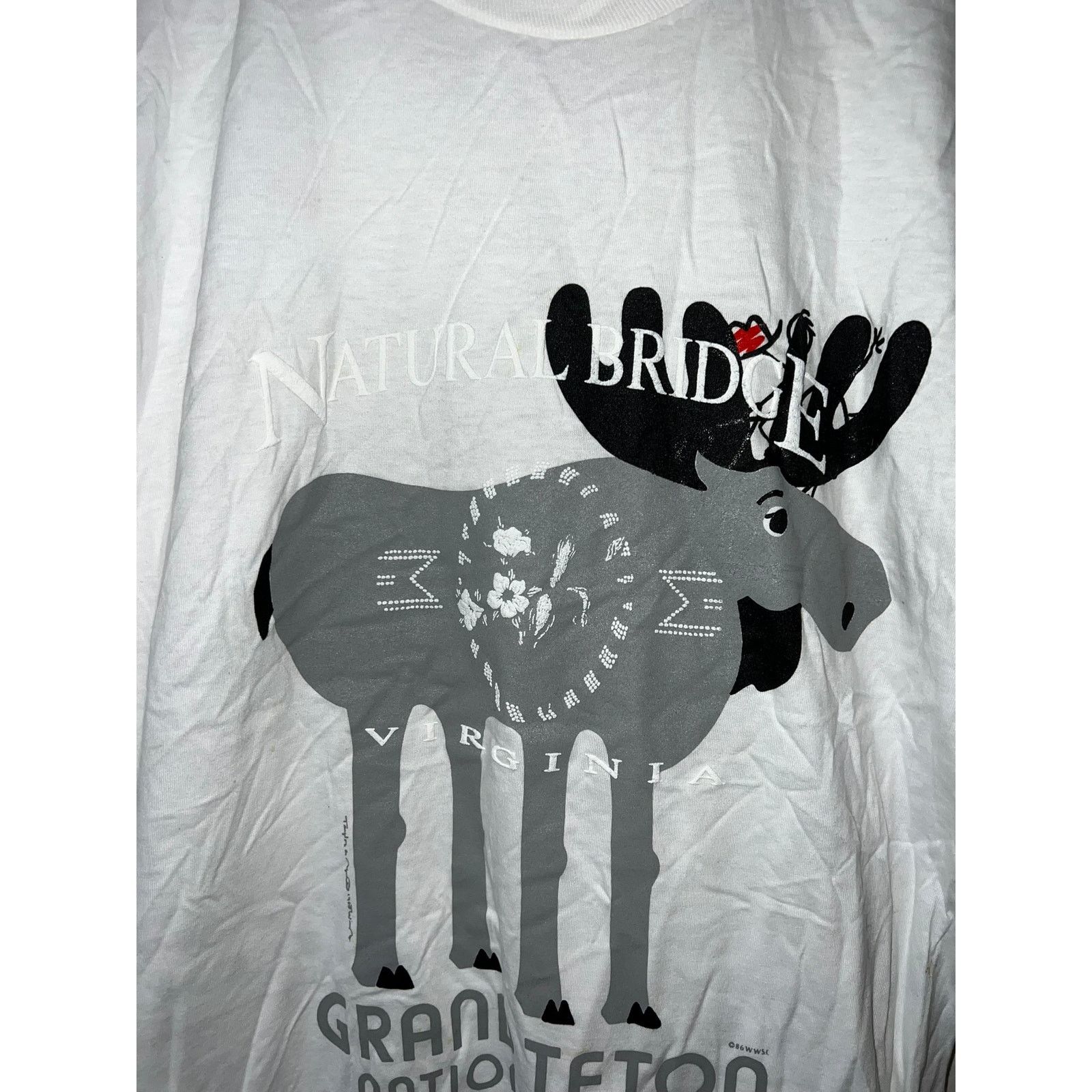 Jerzees Vintage National Park Shirt Test Print Grand Teton Large Size US L / EU 52-54 / 3 - 2 Thumbnail