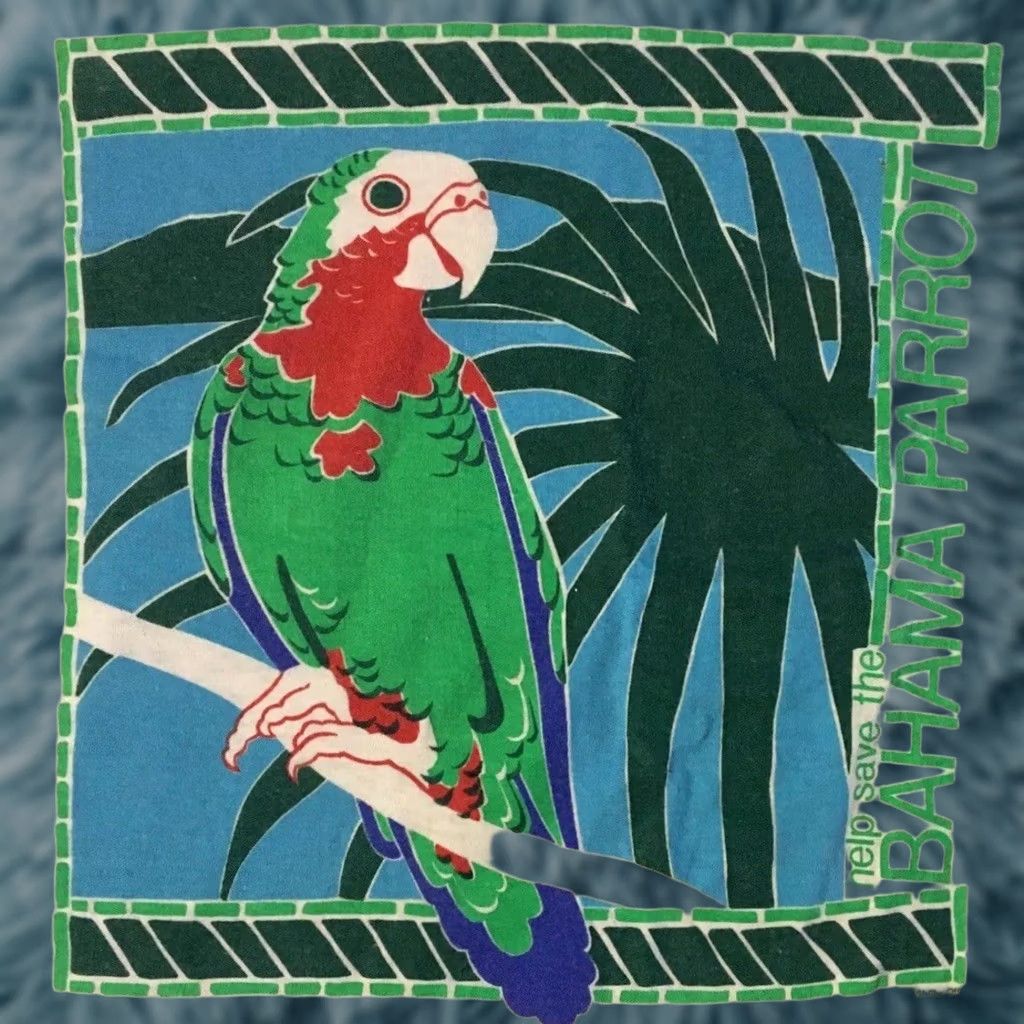Vintage VINTAGE Parrot Shirt S M Boxy Art Nature Surf Beach Grunge 90s White Mens T-Shirt Short Sleeve Size US S / EU 44-46 / 1 - 1 Thumbnail