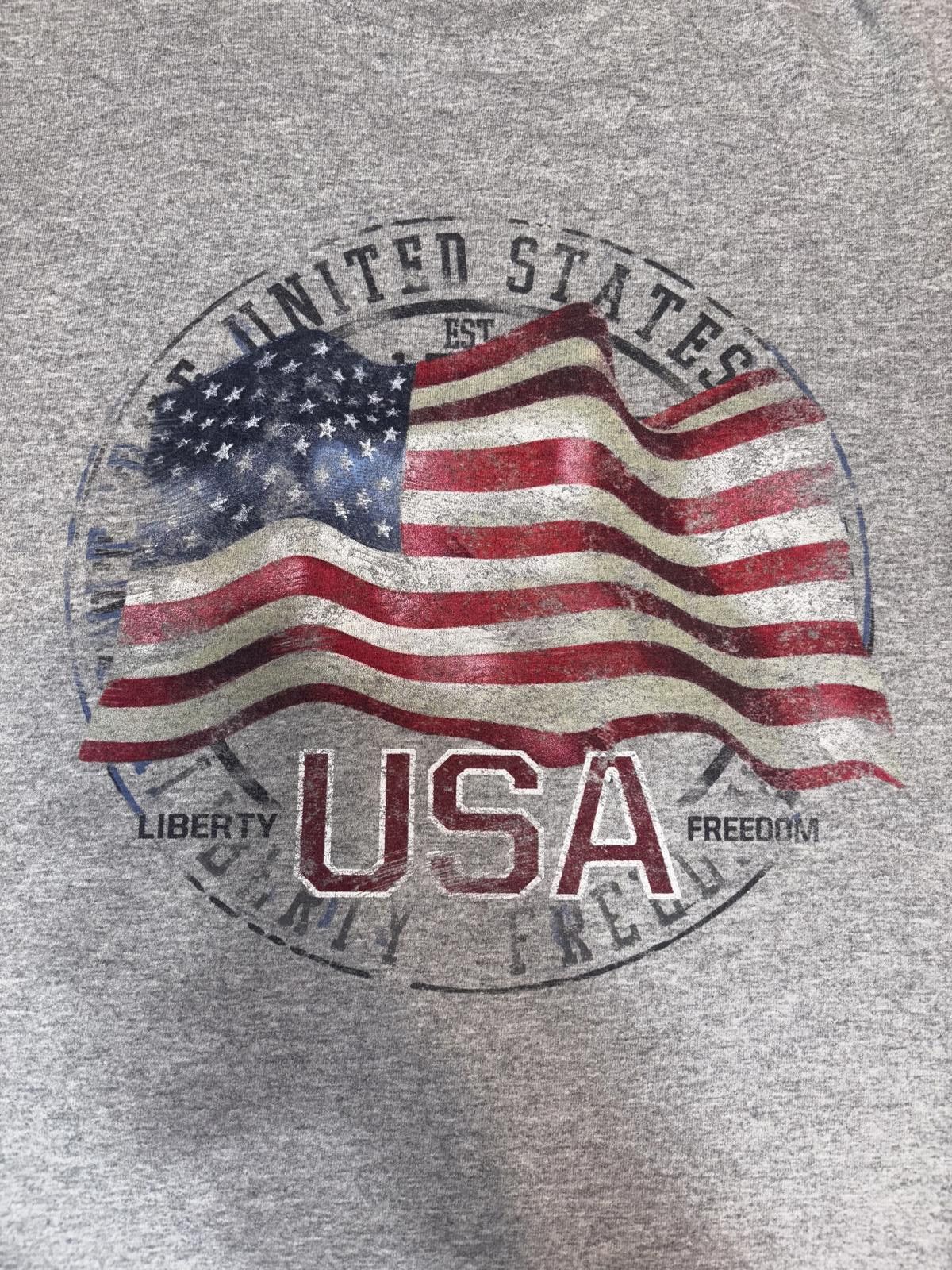 Gildan Gildan USA Flag Graphic Tee - Heavy Cotton Size US M / EU 48-50 / 2 - 2 Thumbnail