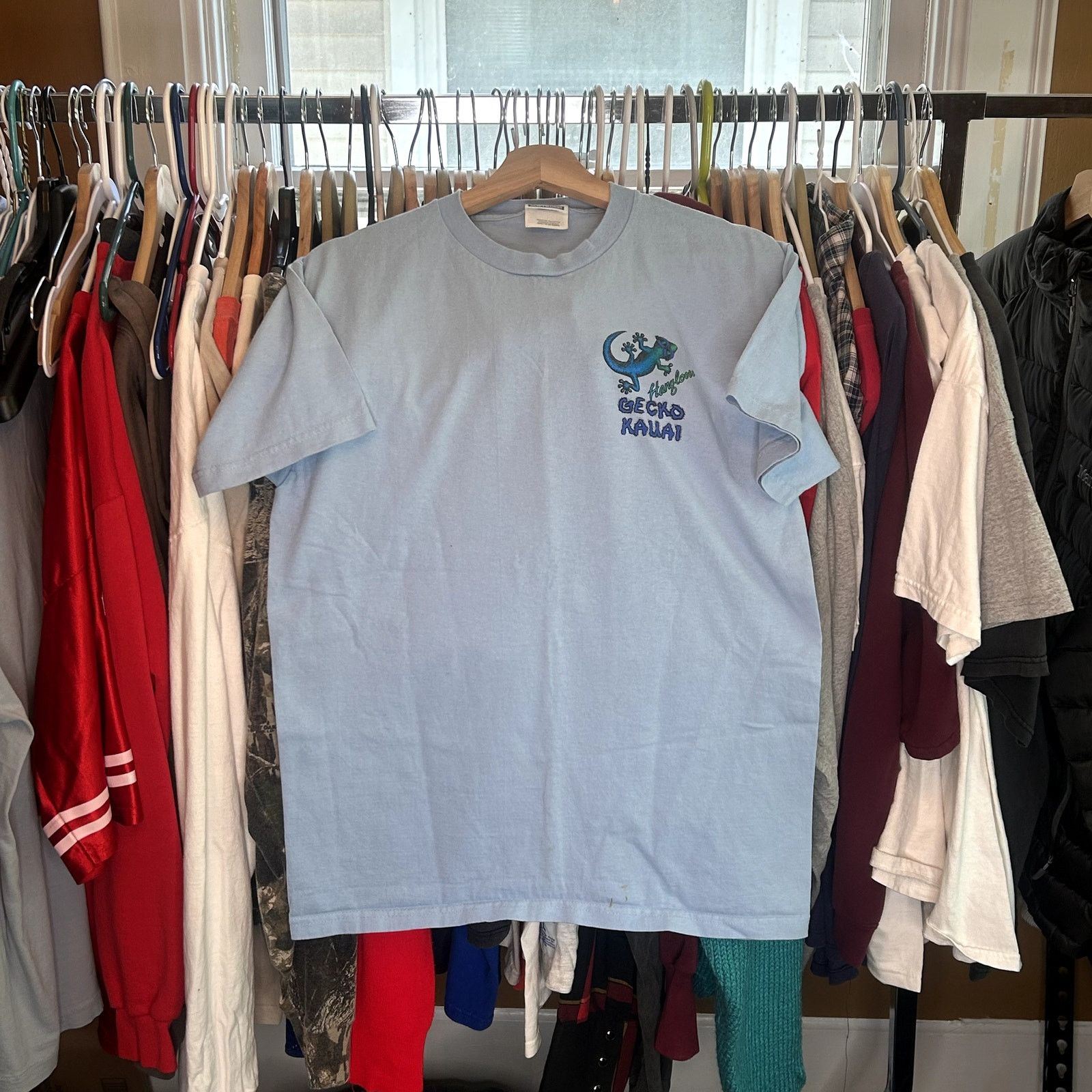 Hanes Y2K Gecko Kauai Lizard T-Shirt Medium Size US M / EU 48-50 / 2 - 3 Thumbnail