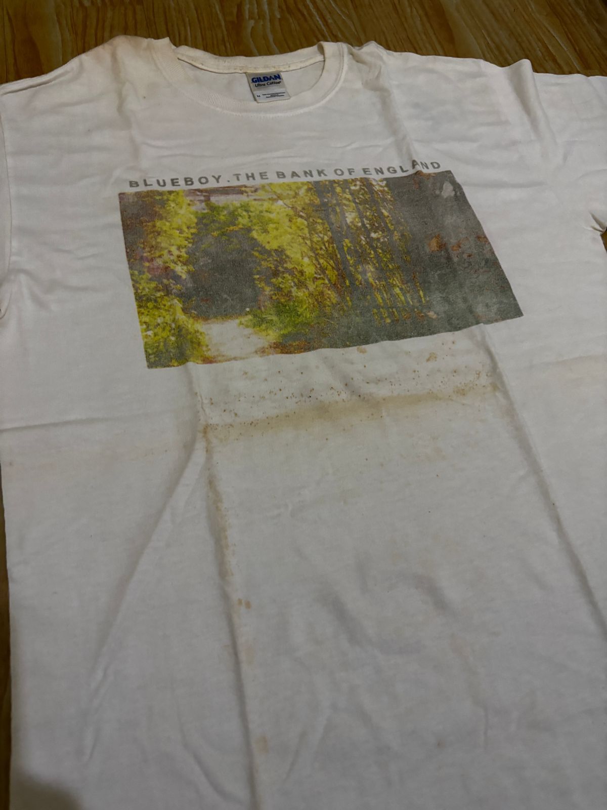Band Tees Vtg Y2k Blueboy the field mice The Orchids sarah record Size US M / EU 48-50 / 2 - 3 Thumbnail