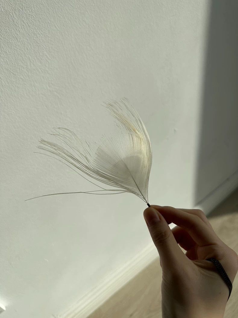 Ann Demeulemeester Ann Demeulemeester ann demeulemeester Feather necklace Whi Size ONE SIZE - 6 Thumbnail