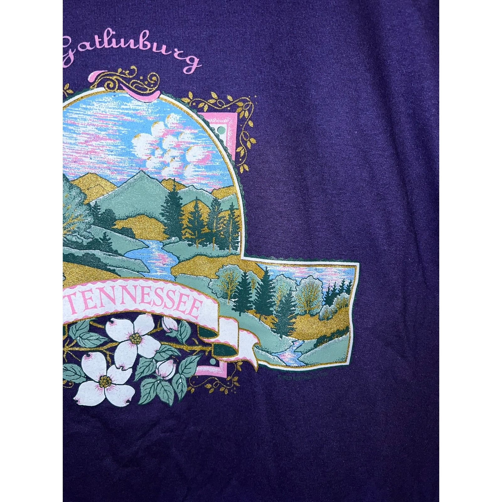 Jerzees Vintage Gatlinburg Shirt Tennessee Nature Shirt VTG 90s L Size US L / EU 52-54 / 3 - 4 Thumbnail