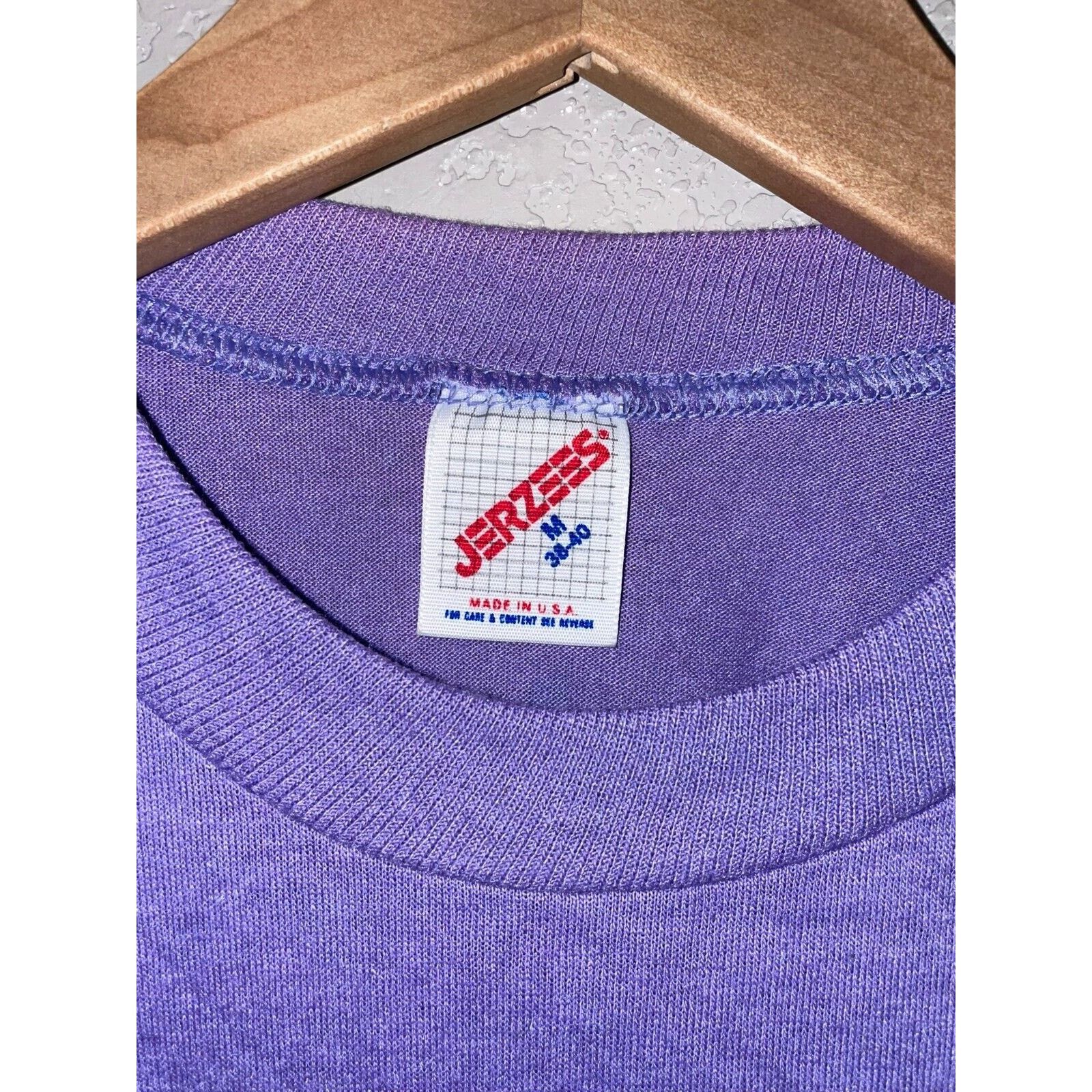Jerzees Vintage Arizona Art Shirt Coyote Cactus Tee Purple 80s 1980s Size US M / EU 48-50 / 2 - 11 Thumbnail