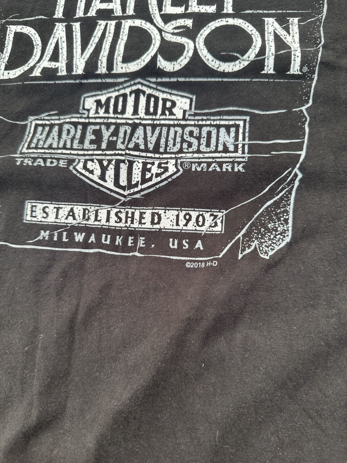 Harley Davidson Vintage Harley Davidson Chunky River Logo Very Rare USA L Size US L / EU 52-54 / 3 - 5 Thumbnail
