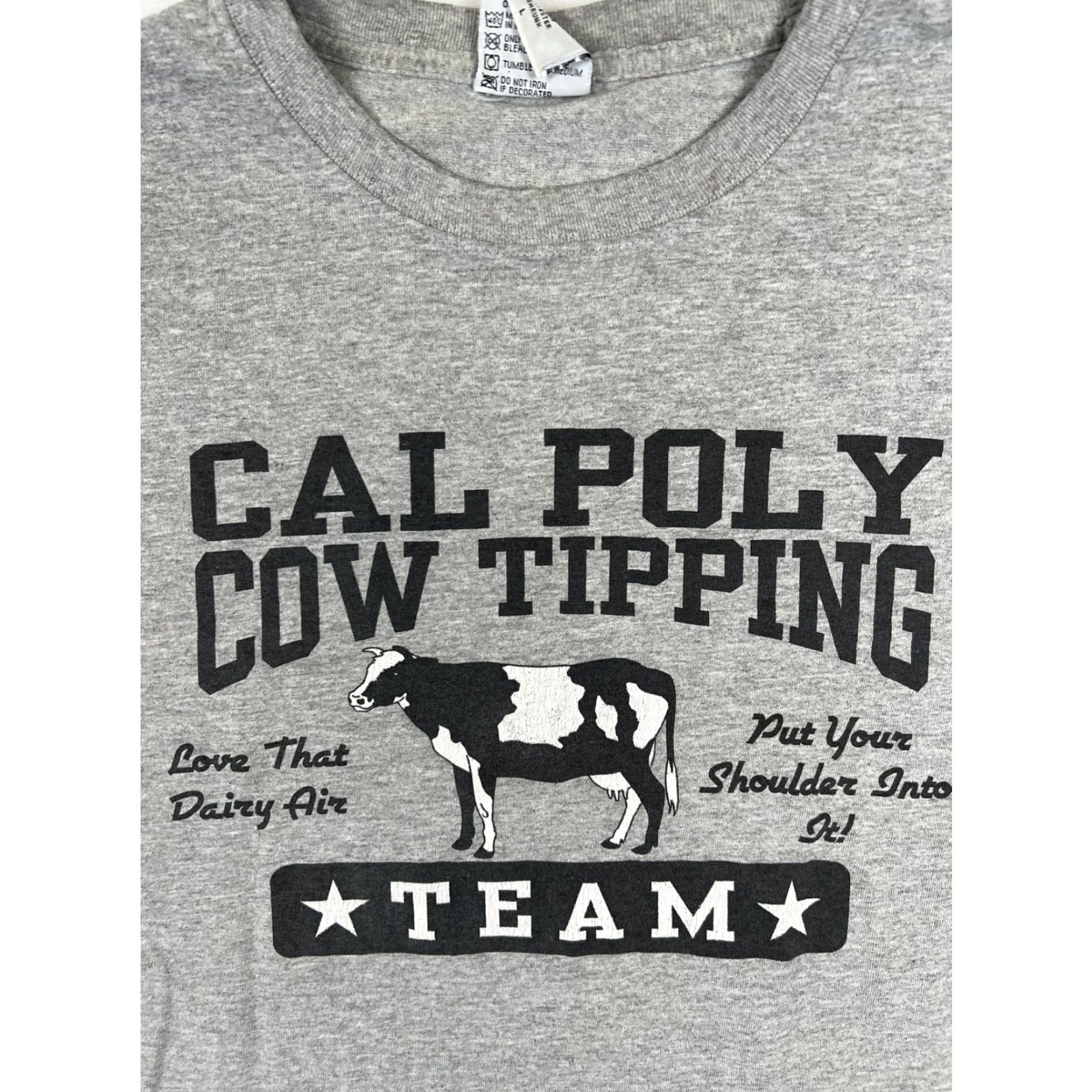 Vintage VINTAGE Cal Poly Cow Tipping Team T-Shirt Mens Large Gray College Humor Shirt Size US L / EU 52-54 / 3 - 2 Thumbnail