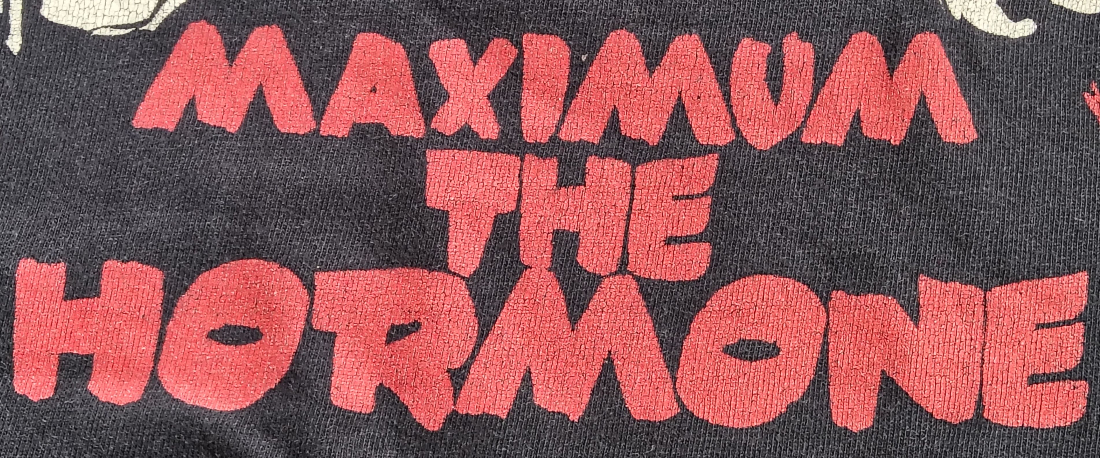 Band Tees Maximum The Hormone ( Japanese metal hardcore punk band) tee Size US L / EU 52-54 / 3 - 13 Thumbnail