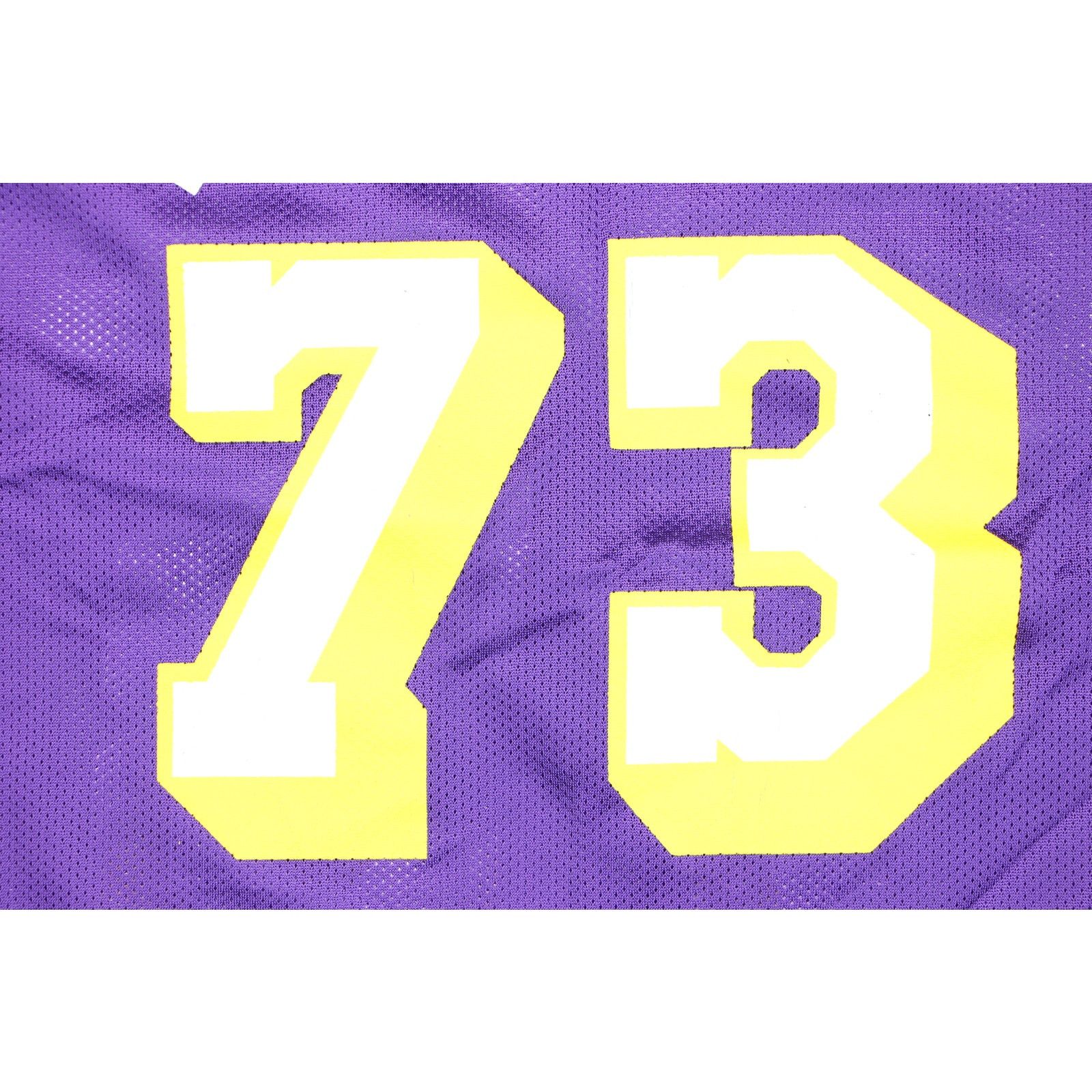 Champion Vintage LA Lakers 73 Dennis Rodman Champion Jersey Deadstock Size US XL / EU 56 / 4 - 3 Thumbnail