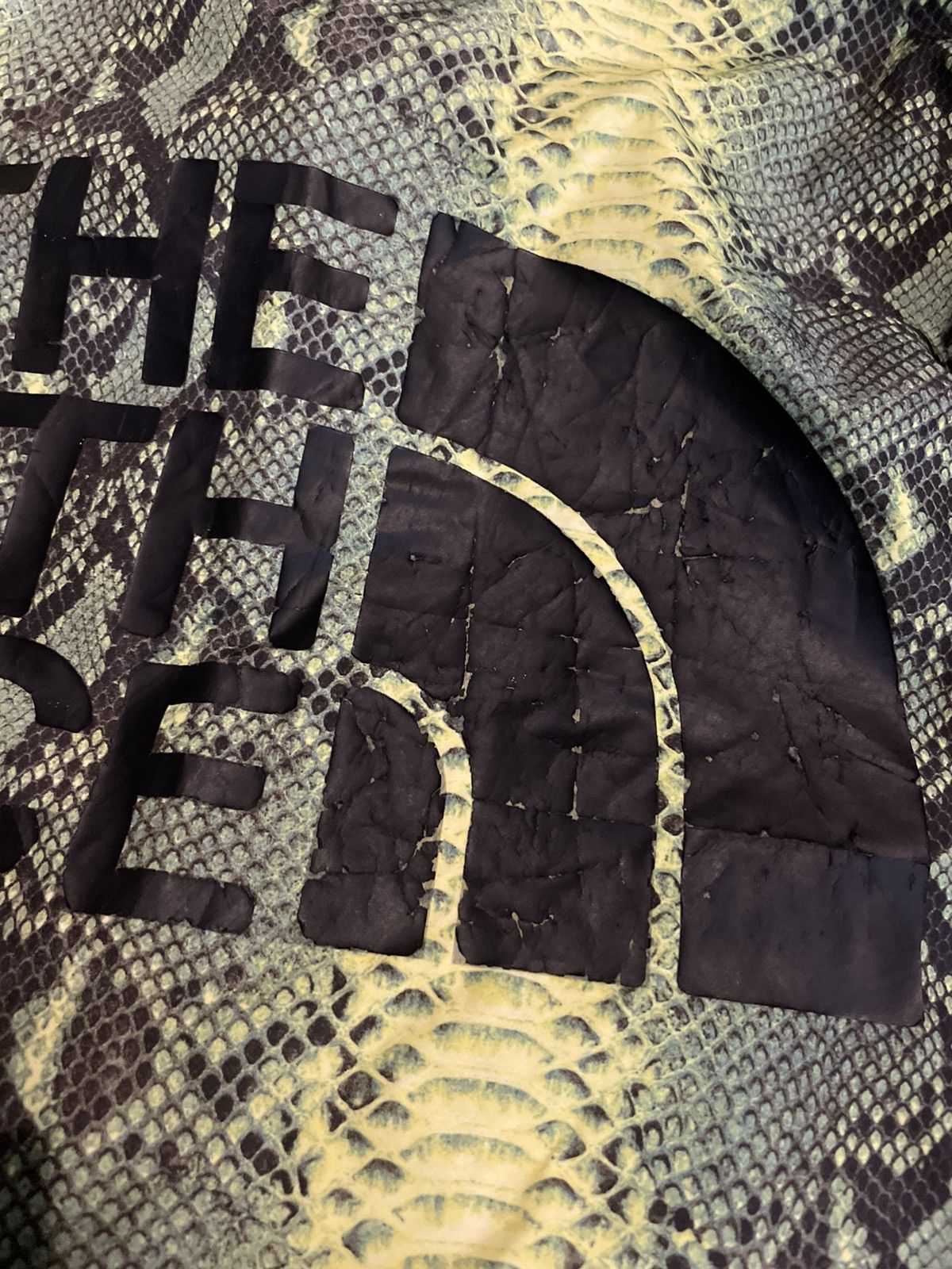Supreme × The North Face Supreme X The North Face Snakeskin Coach SS18 Size US L / EU 52-54 / 3 - 23 Thumbnail