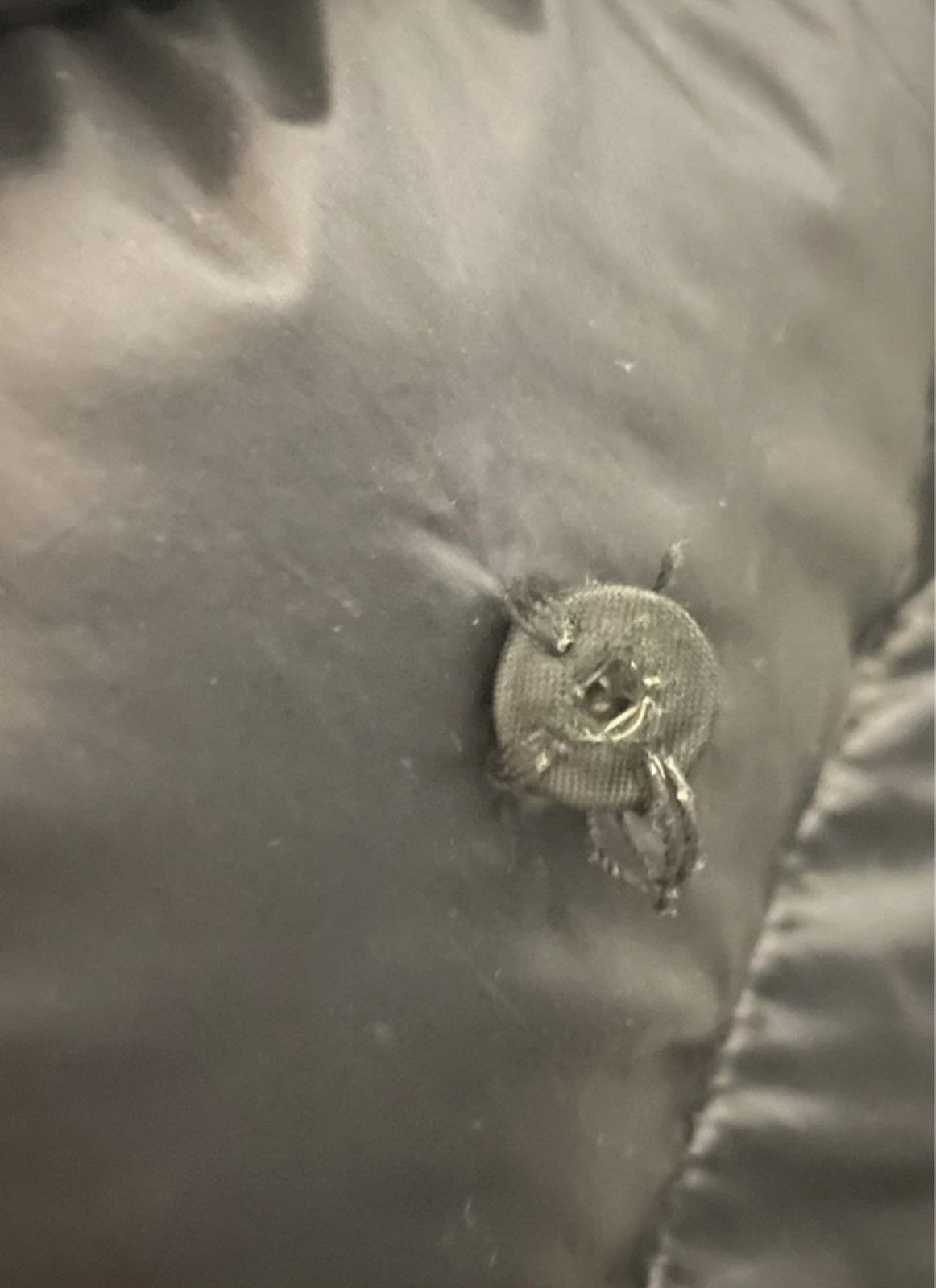 If Six Was Nine If Six Was Nine Puffer Jacket Size XS / US 0-2 / IT 36-38 - 8 Thumbnail