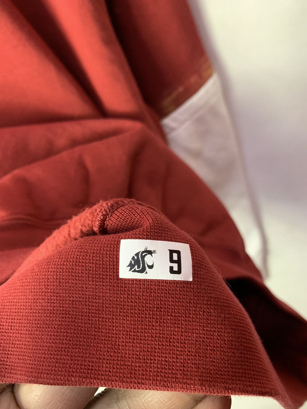 Nike 🔥Nike Washington State Cougars Hoodie Pullover Center Logo Size US L / EU 52-54 / 3 - 11 Thumbnail