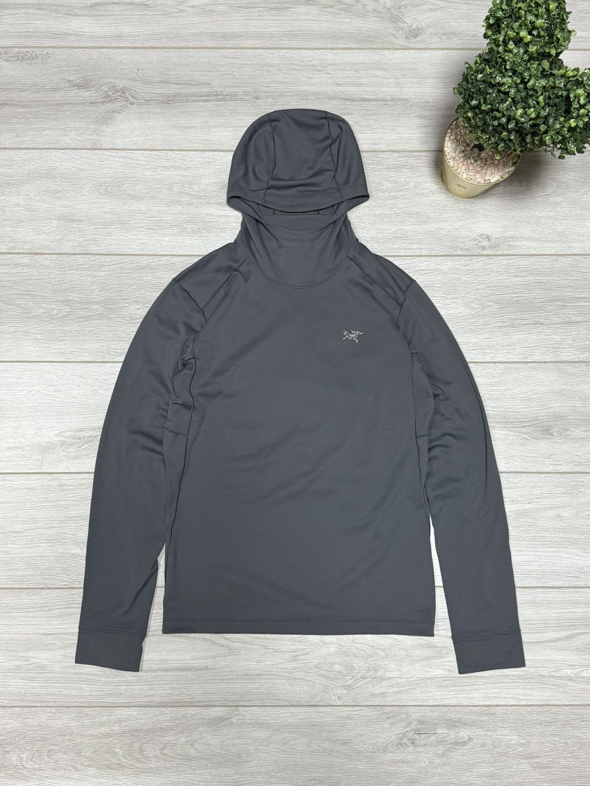 Arc'teryx Arcteryx motus ar hoodie bird ninja Size US M / EU 48-50 / 2 - 1 Thumbnail