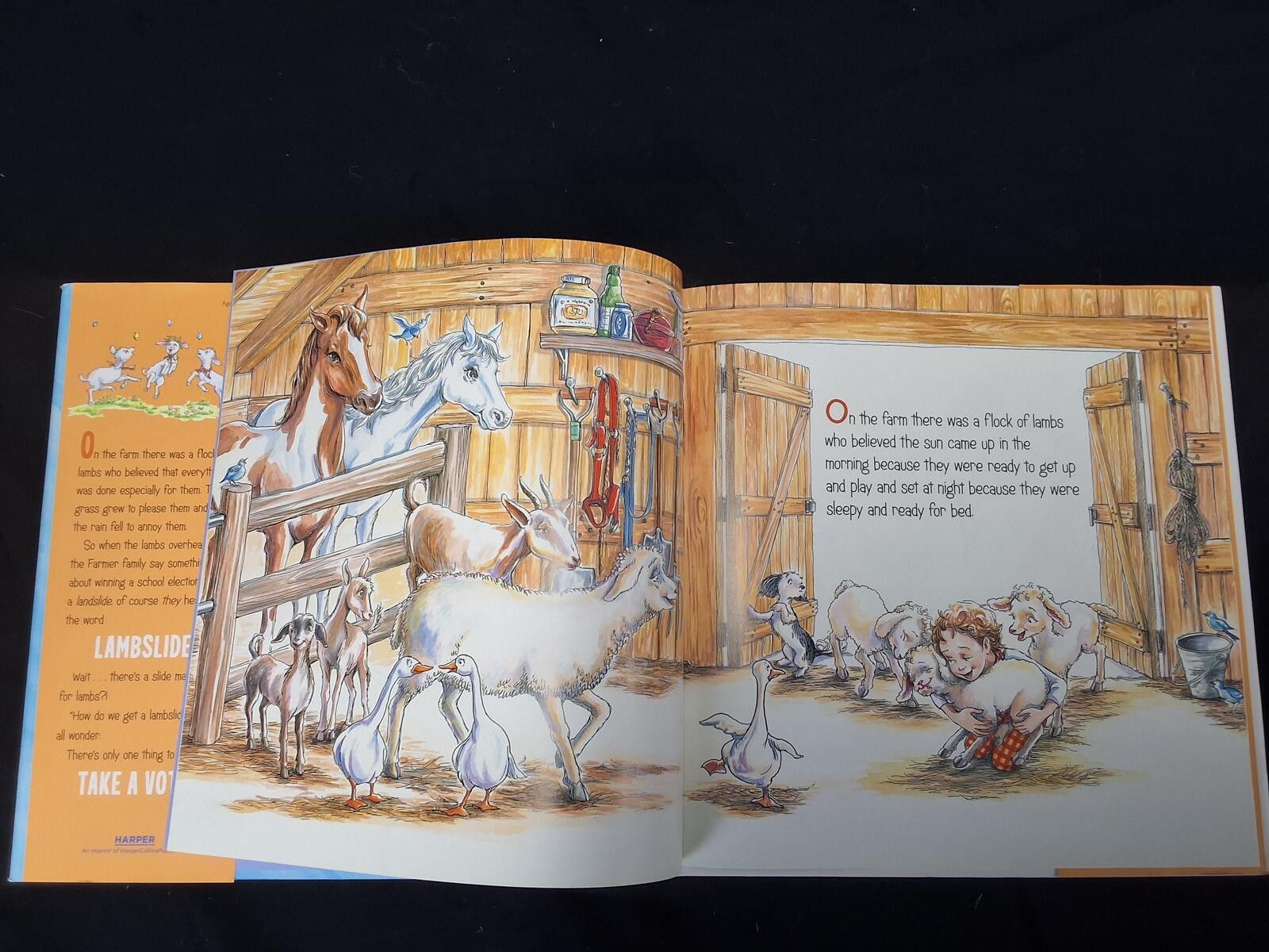 Other Lambslide by Ann Patchett - Children's Book - Damaged Size ONE SIZE - 4 Thumbnail