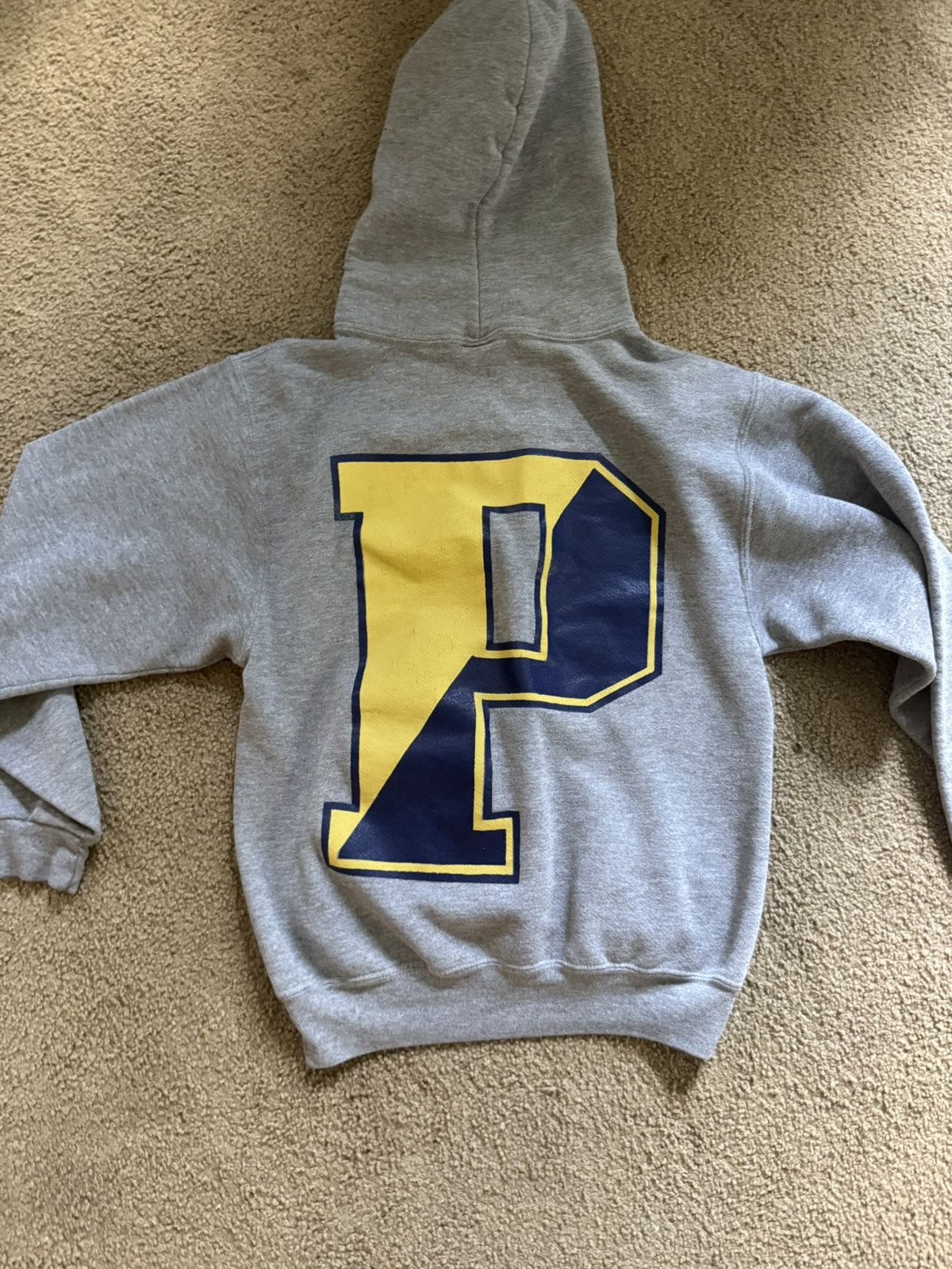 Jansport Gray Vintage University of Pitt Hoodie Size US M / EU 48-50 / 2 - 1 Thumbnail