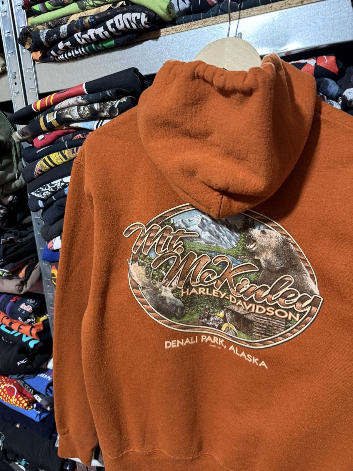 Harley Davidson Vintage 2015 Harley Davidson Alaska Denali Park Hoodie Y2K Size US M / EU 48-50 / 2 - 4 Thumbnail