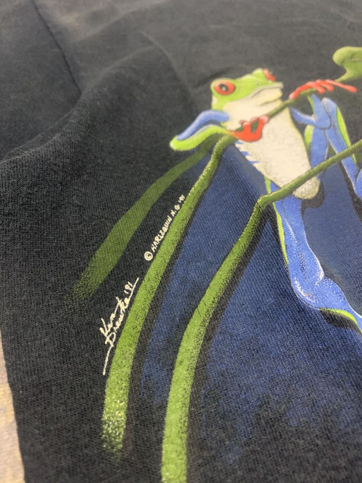 Vintage Vintage 90s Rainforest Frog T-Shirt Ken Drewke Single Stitch Size US M / EU 48-50 / 2 - 3 Thumbnail