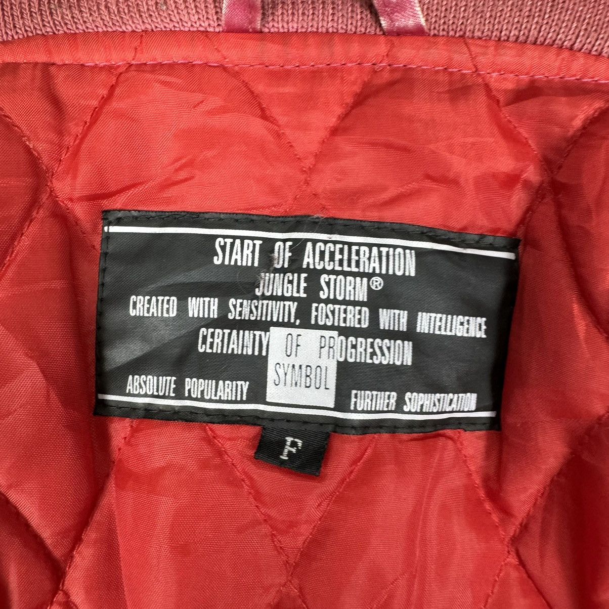 Japanese Brand ❄️JUNGLE STORM DRAGON SUKAJAN JACKET Size US M / EU 48-50 / 2 - 10 Thumbnail