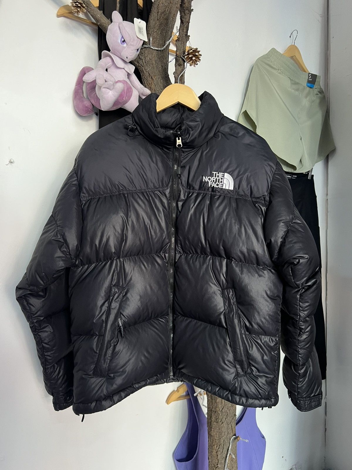 The North Face The North Face Nuptse 700 Size US M / EU 48-50 / 2 - 1 Thumbnail