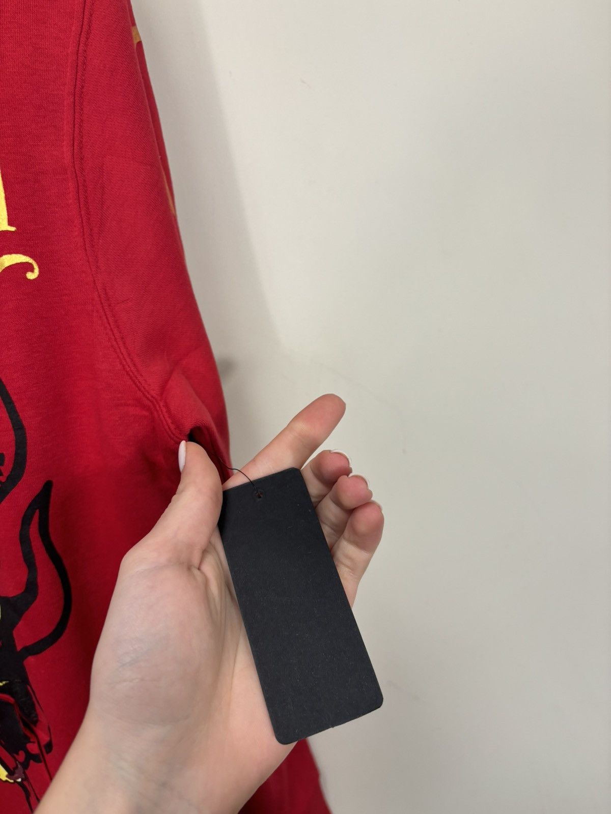 Ed Hardy Ed Hardy Y2K Chinese Dragon Big Logo NEW Red Hype Hoodie Size US S / EU 44-46 / 1 - 14 Thumbnail