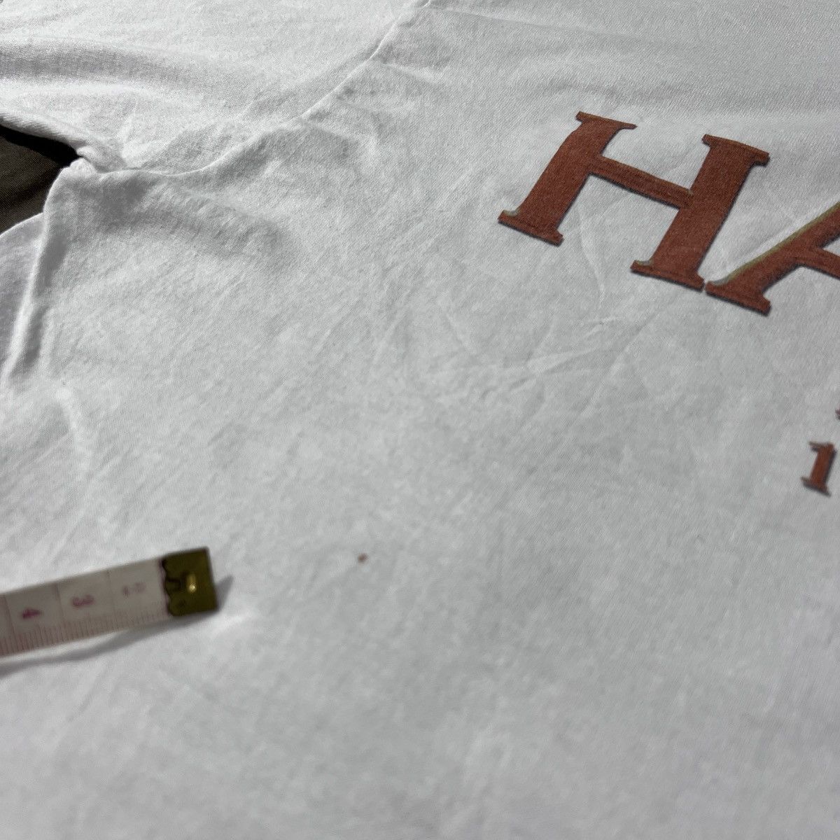 Vintage 100th Anniversary HAMEL REUNION Photography Tee