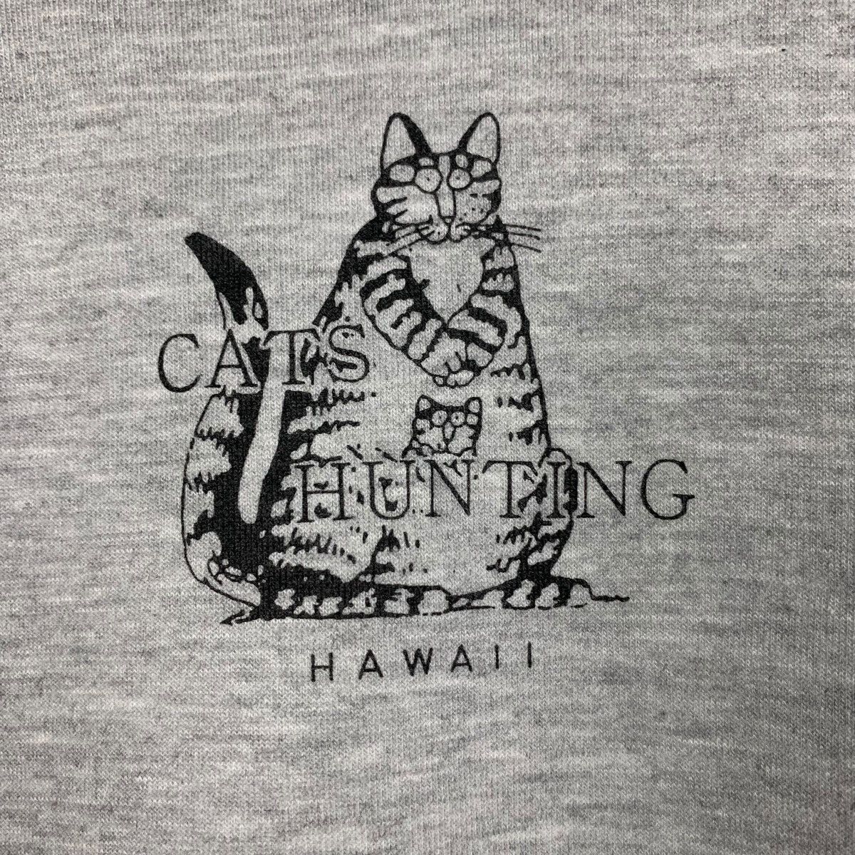 Cartoon Network CATS HUNTING Hawaii Graphics Printed Sweatshirts #1677-C75 Size US L / EU 52-54 / 3 - 10 Thumbnail