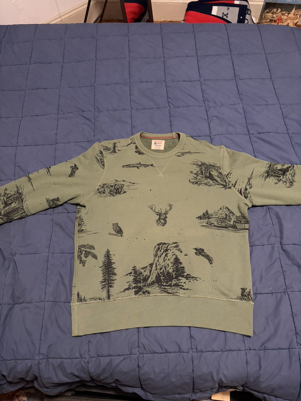 Todd Snyder x Champion National Parks Scenic Sweatshirt