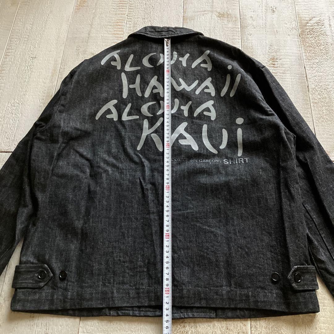 Comme des Garcons comme des garçons homme plus denim jacket Size US M / EU 48-50 / 2 - 2 Thumbnail