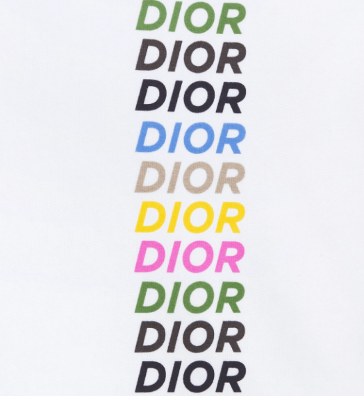 Dior o1w1db10525 413J64 Relaxed-Fit Hooded Sweatshirt in White Size US M / EU 48-50 / 2 - 3 Thumbnail
