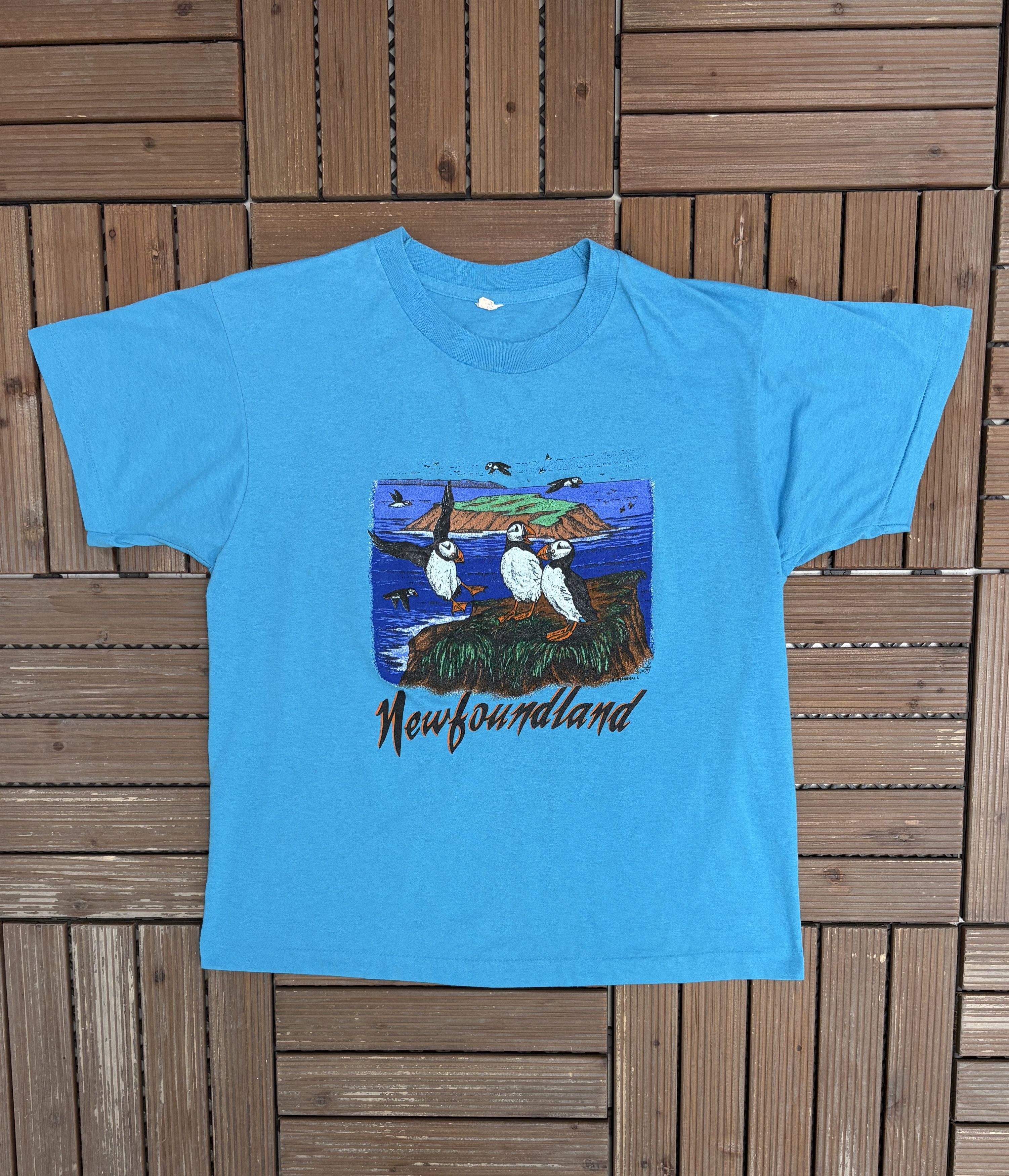 Vintage Newfoundland Atlantic Puffin Tourist Vintage Blue T-Shirt Size US L / EU 52-54 / 3 - 1 Thumbnail
