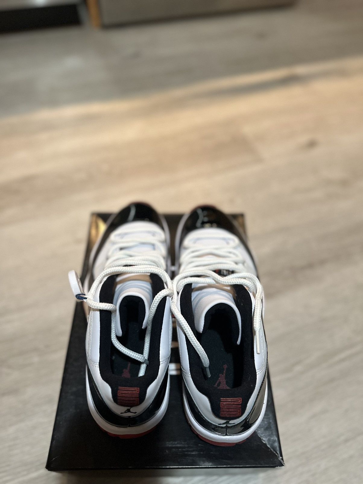 Jordan 11 Retro Low concord Bred toe