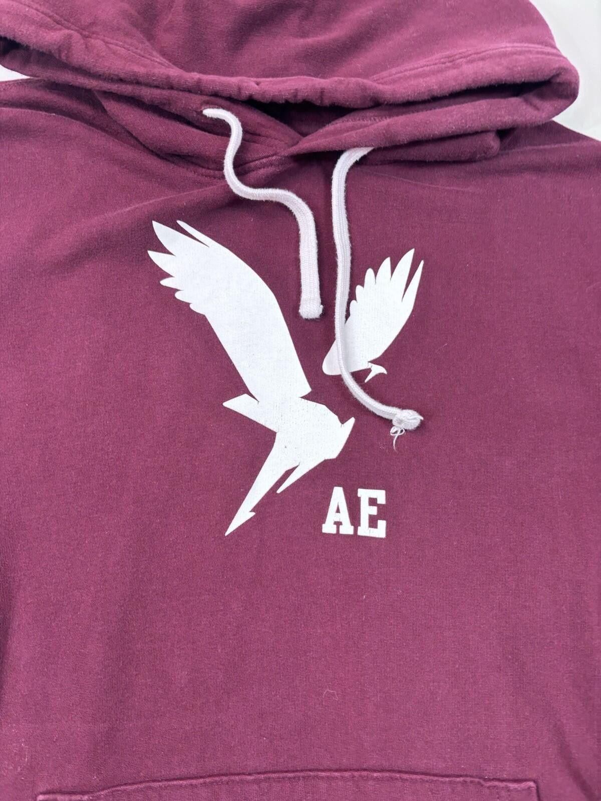 American Eagle Outfitters American Eagle Outfitters Marron Hoodie Men’s Size XL Size US XL / EU 56 / 4 - 2 Thumbnail