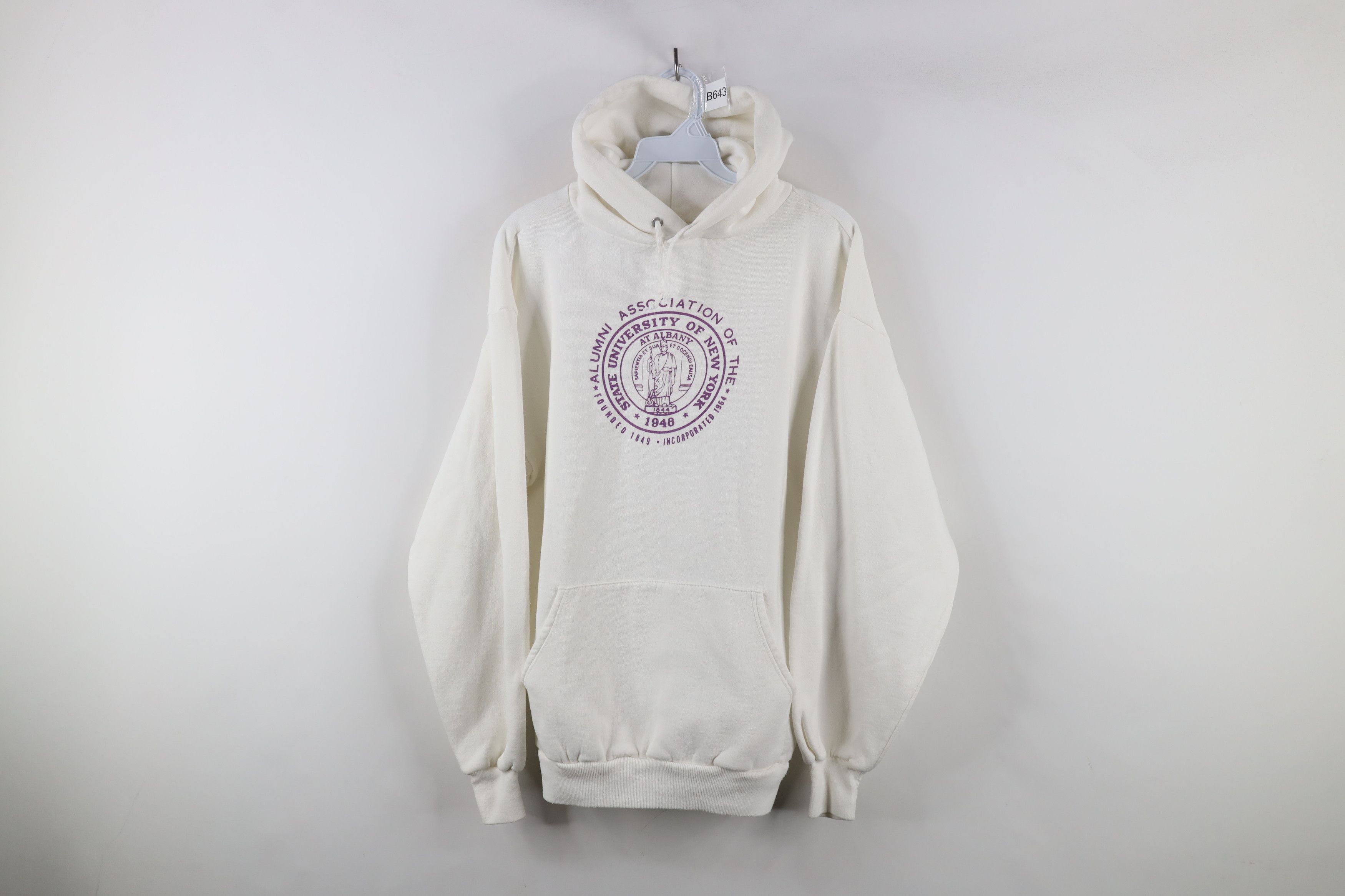 Vintage 80s 90s University at Albany Hoodie Sweatshirt USA