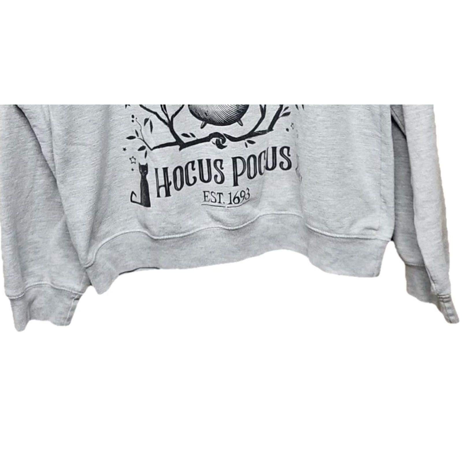 Vintage Disney Hocus Pocus Women’s Sweatshirt L Sanderson Sisters Graphic Pullover Crew Neck Gray Cotton Blend Juniors Activewear Sweatshirt Women Size L / US 10 / IT 46 - 3 Thumbnail