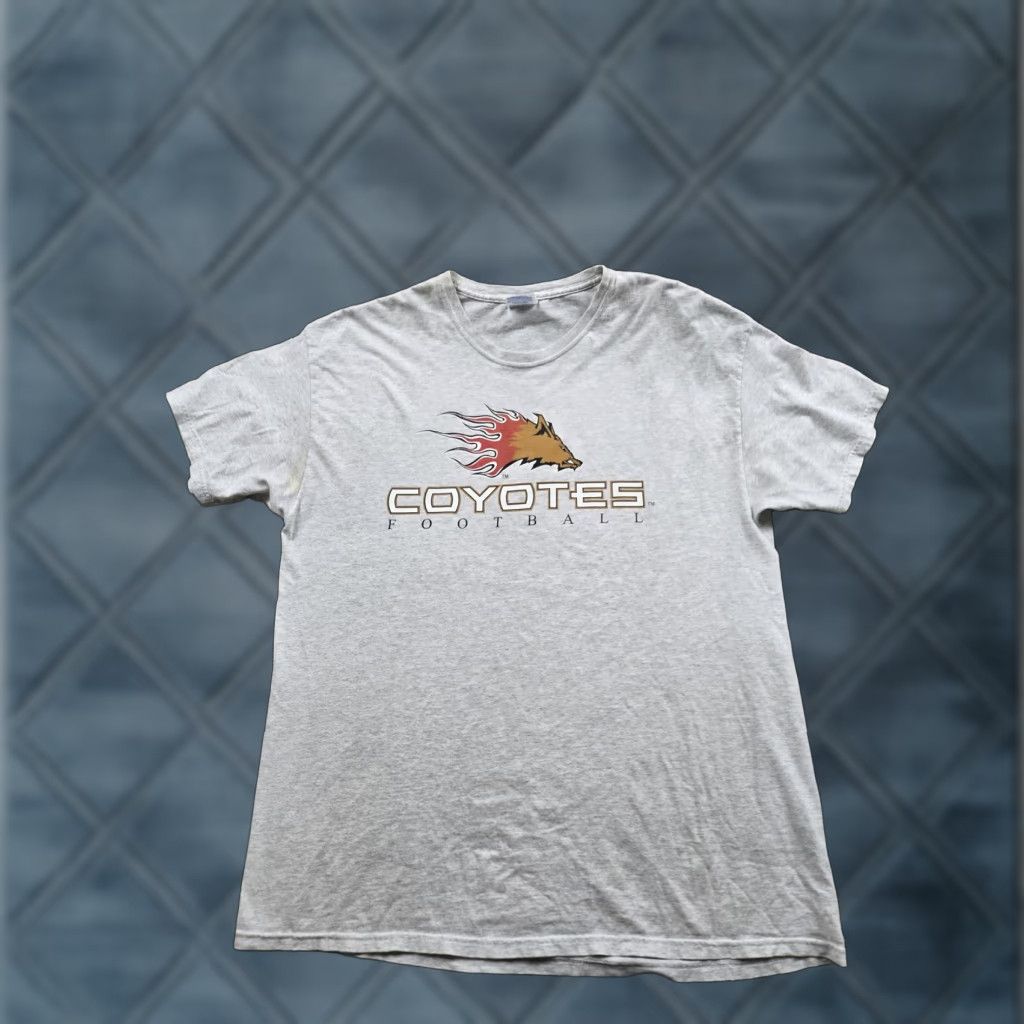 Hanes VINTAGE Central Valley Coyotes T Shirt Mens XL Gray AF2 Arena Football 2006 Size US XL / EU 56 / 4 - 1 Thumbnail